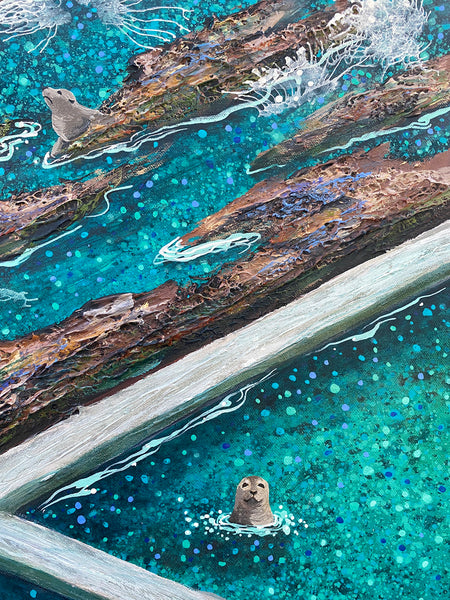 Seal Party at Blue Pool