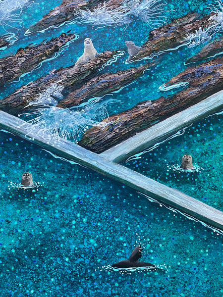 Seal Party at Blue Pool