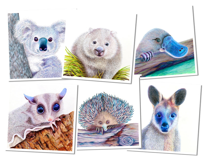 Cards Native Australian Animal Collection