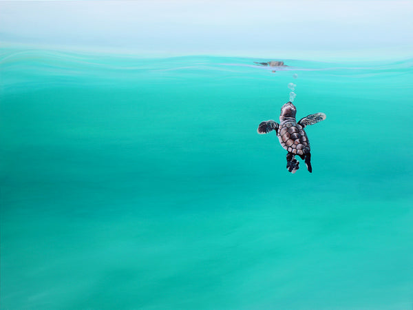 'Baby Turtle Bubbles'