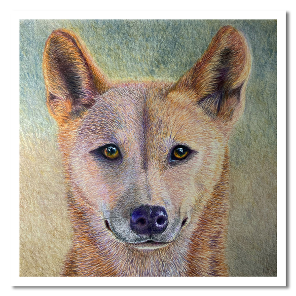 Cards - Native Australian Animal Collection