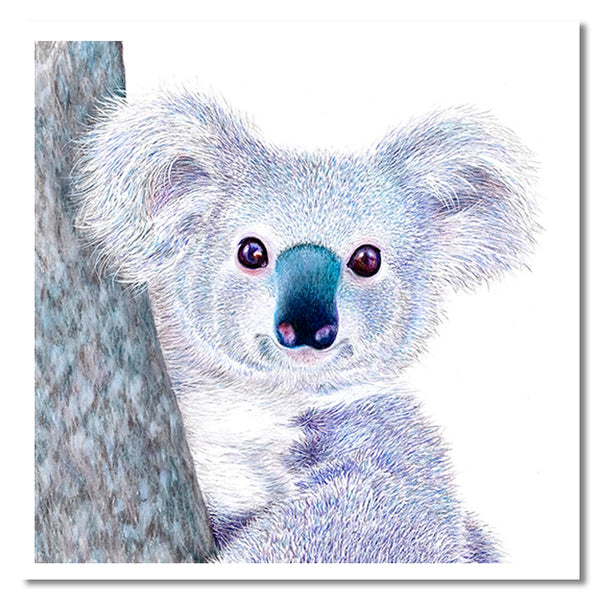 Cards - Native Australian Animal Collection