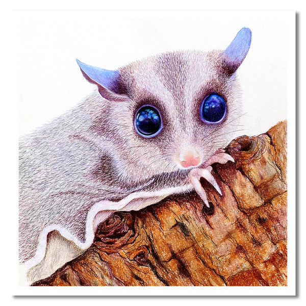 Cards - Native Australian Animal Collection