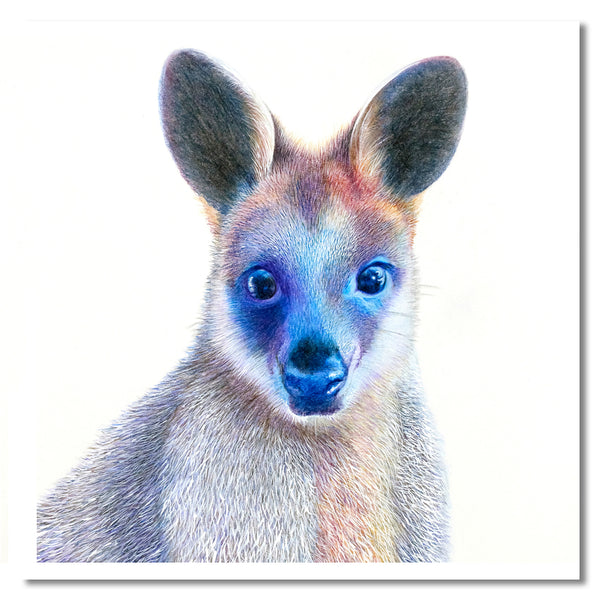 Cards - Native Australian Animal Collection