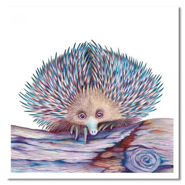 Cards - Native Australian Animal Collection