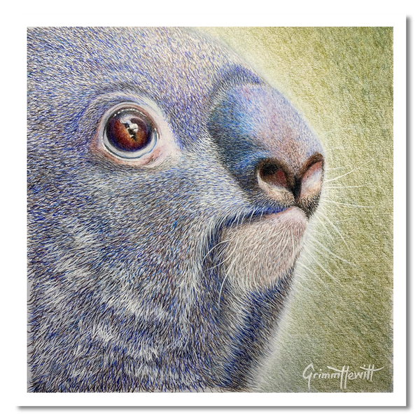 Cards - Native Australian Animal Collection