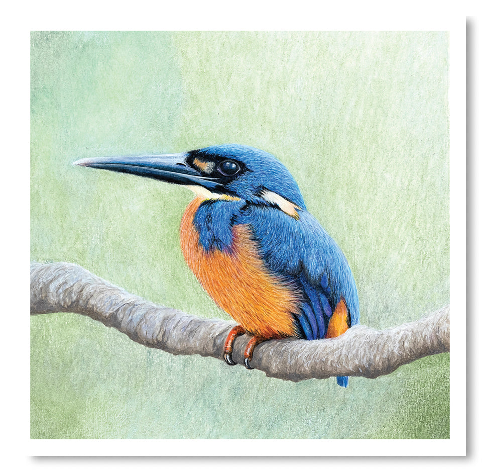 Card - Azure Kingfisher