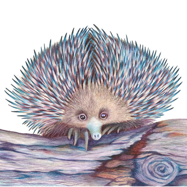 'Echidna' Print