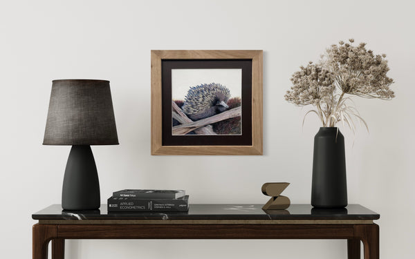 'Echidna Baby at Wallagoot'