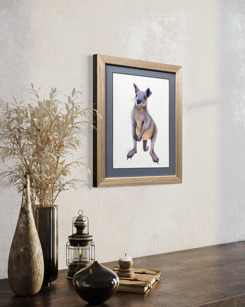 'Marvin the Swamp Wallaby'