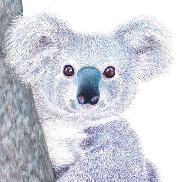 'Koala' Print