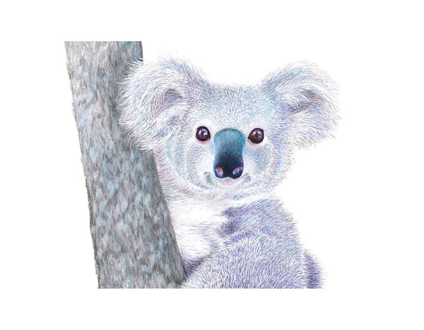 'Koala' Print