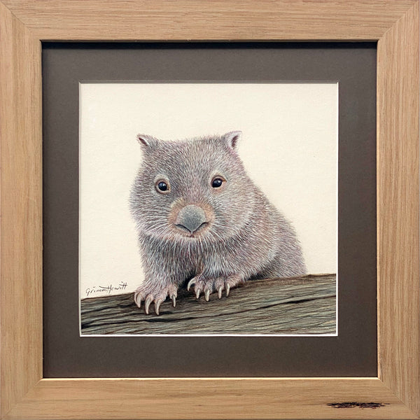 'Wombat - Peter Richards goes Exploring'