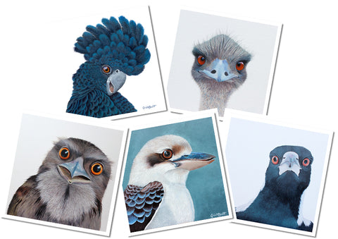 Cards - Bird Collection