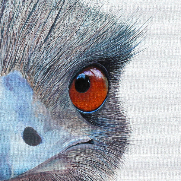 Bird - Cheeky Emu