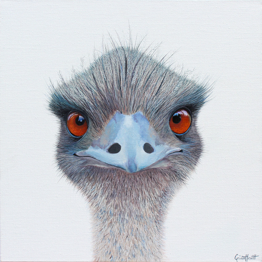 Bird - Cheeky Emu