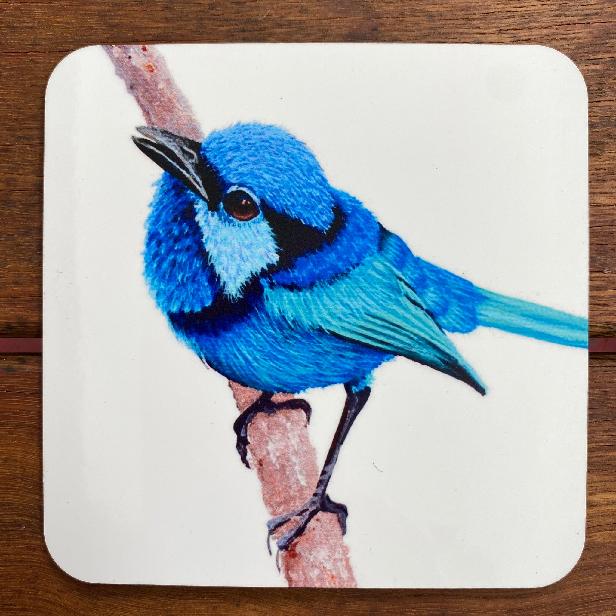 Coasters - Superb Fairy Wren