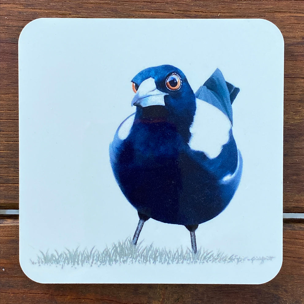 Coasters - Curious Magpie