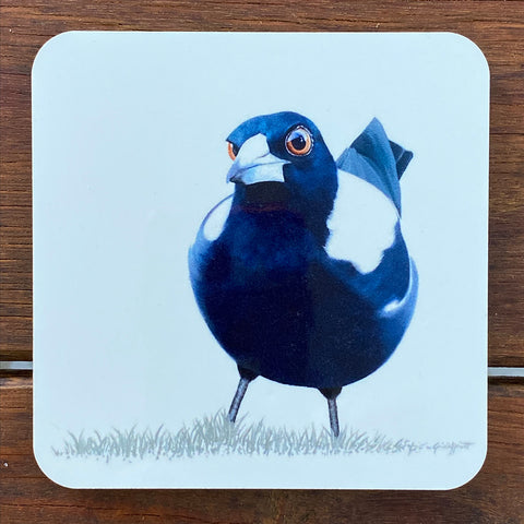 Coasters - Curious Magpie