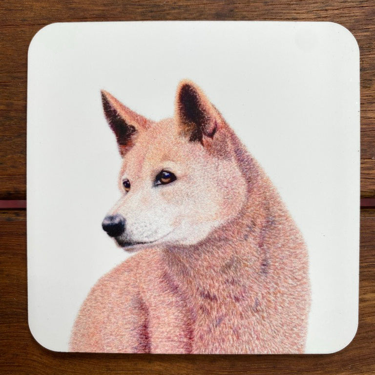 Coasters - Dingo Portrait