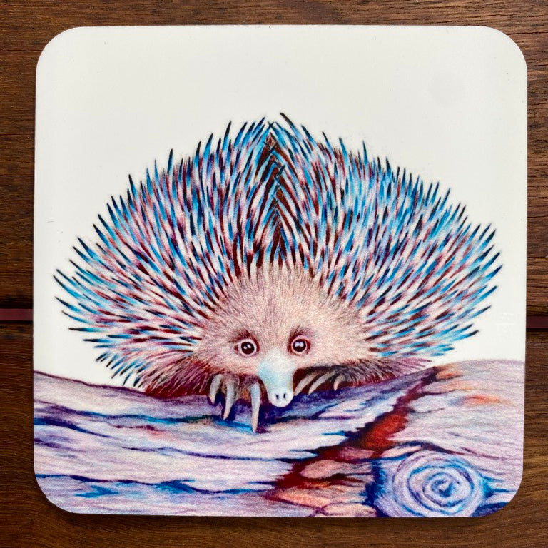 Coasters - Echidna