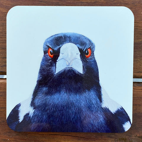 Coasters - Magpie Stare
