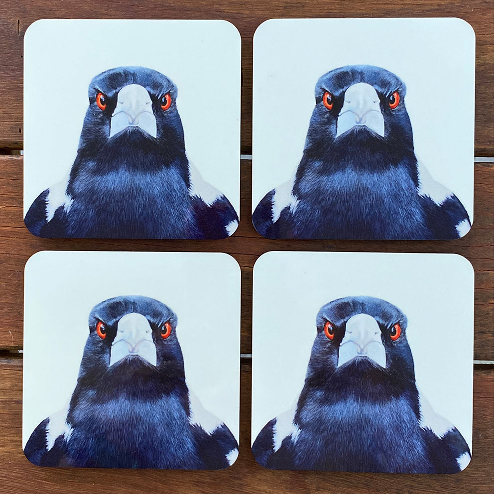 Coasters - Magpie Stare