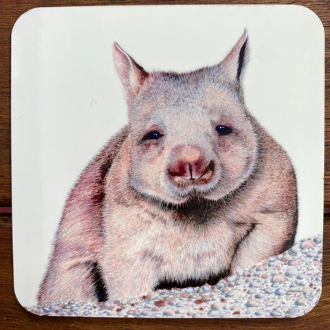 Coasters - Northern Hairy Nose Wombat