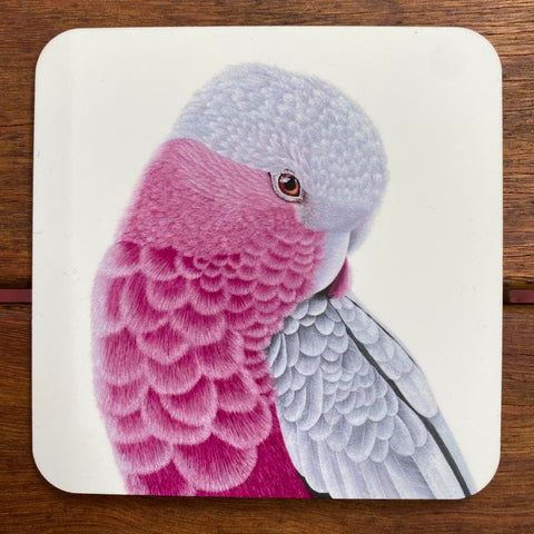 Coasters - Pink and Grey Galah