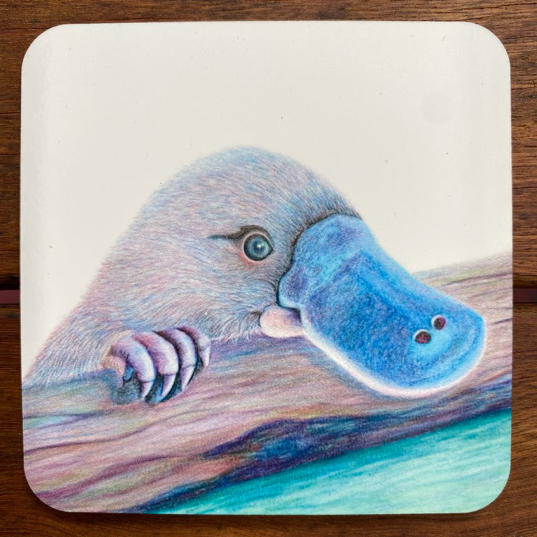 Coasters - Platypus