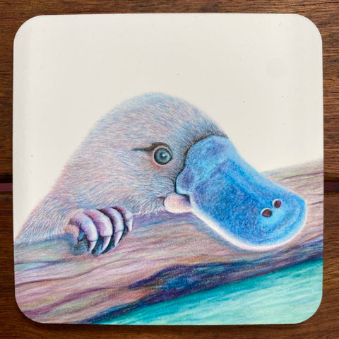 Coasters - Platypus