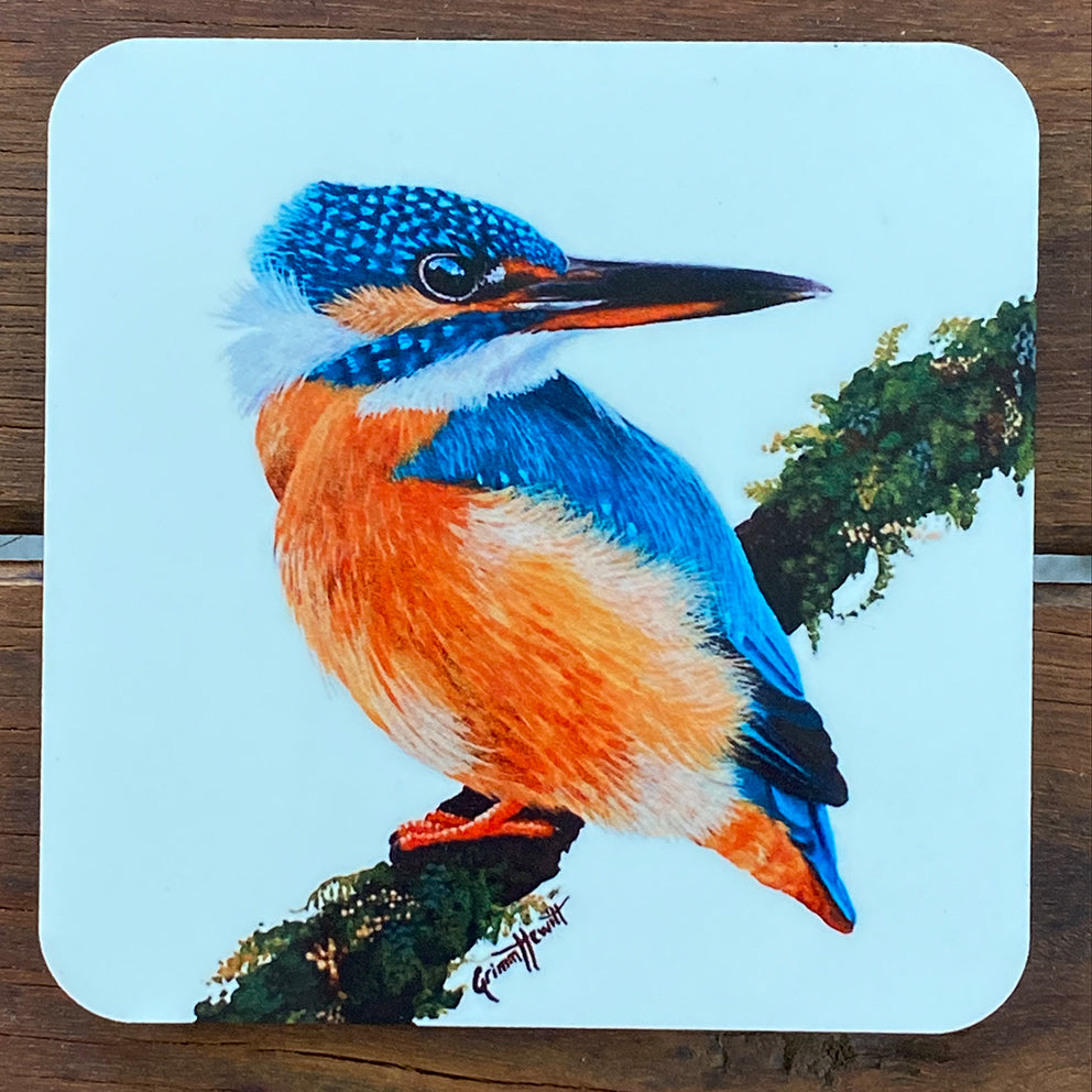 Coasters - Sacred Kingfisher