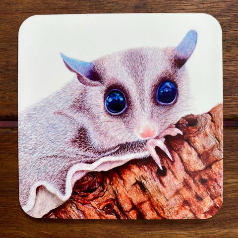 Coasters - Sugar Glider Possum