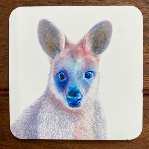 Coasters - Swamp Wallaby