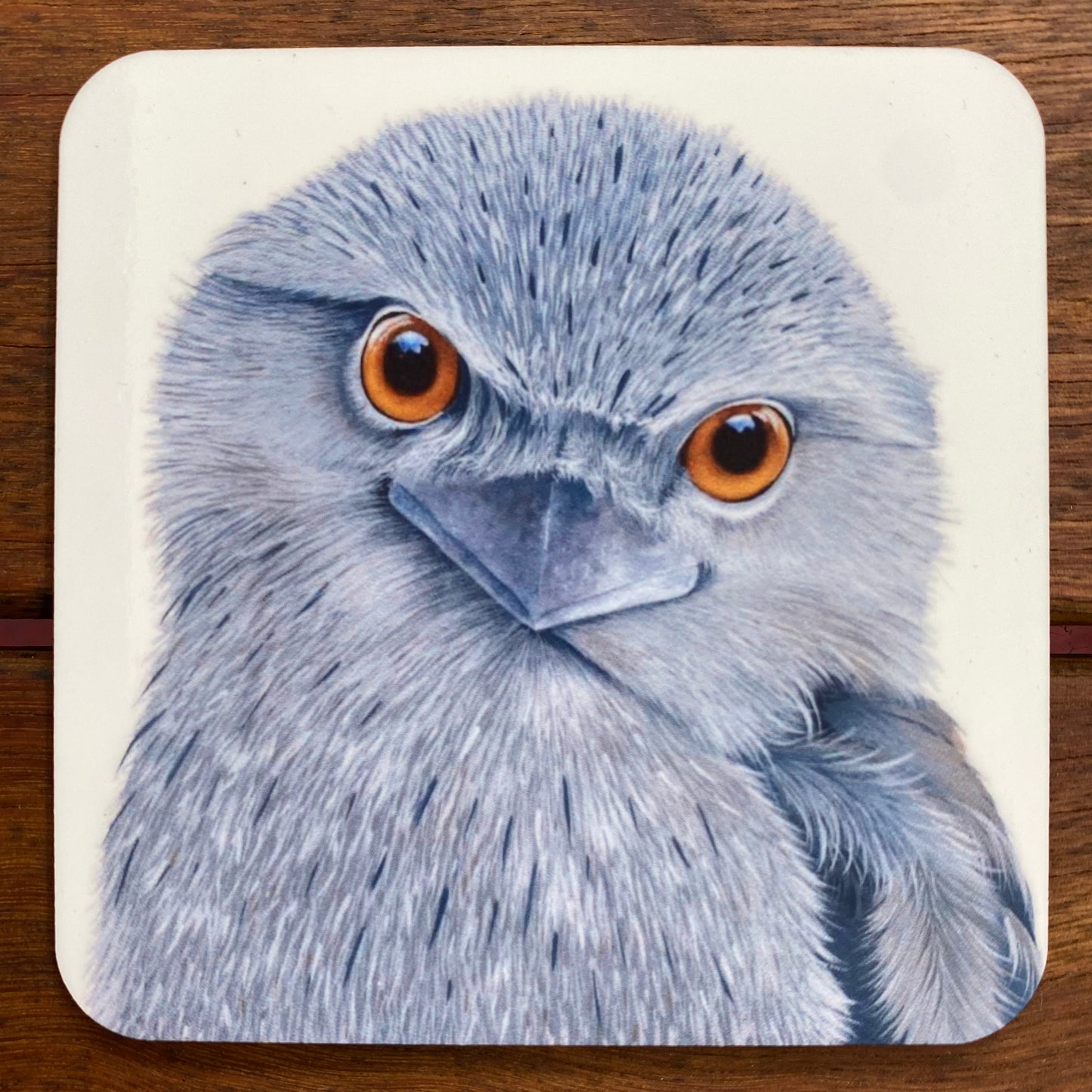 Coasters - Tawny Frogmouth