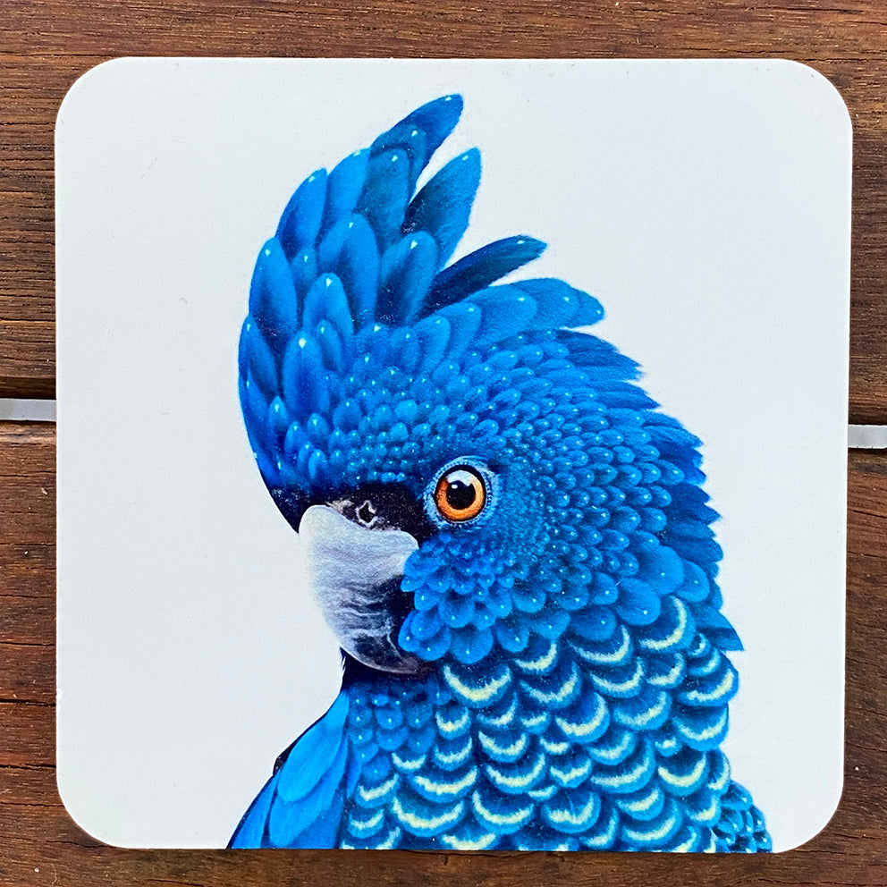Coasters - Calyptorhynchus Banksii