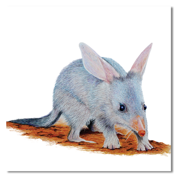 Cards - Native Australian Animal Collection