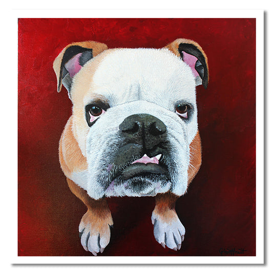 Card - Floyd the Bulldog