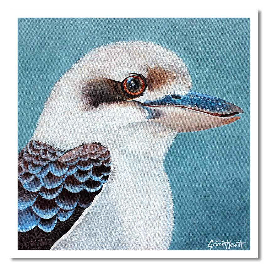 Card - Kookaburra