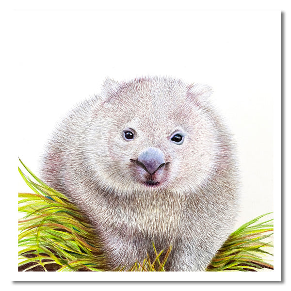 Cards - Native Australian Animal Collection