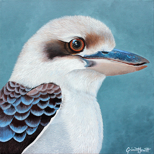 Bird - Kookaburra