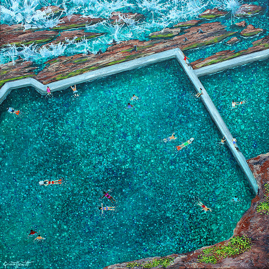 'Seals at Blue Pool - Bermagui'