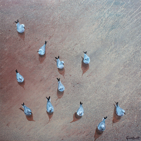 'Shoreline Seagulls'